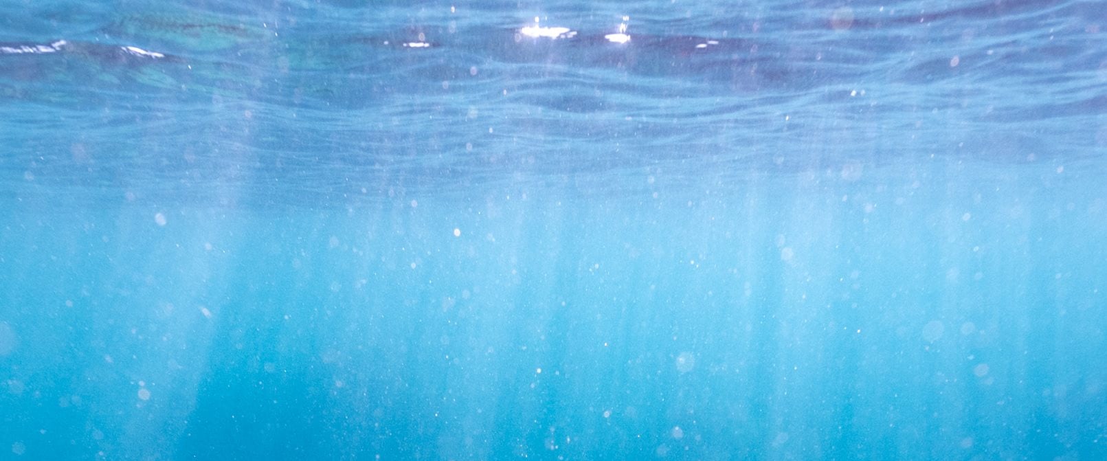 Underwater discovery