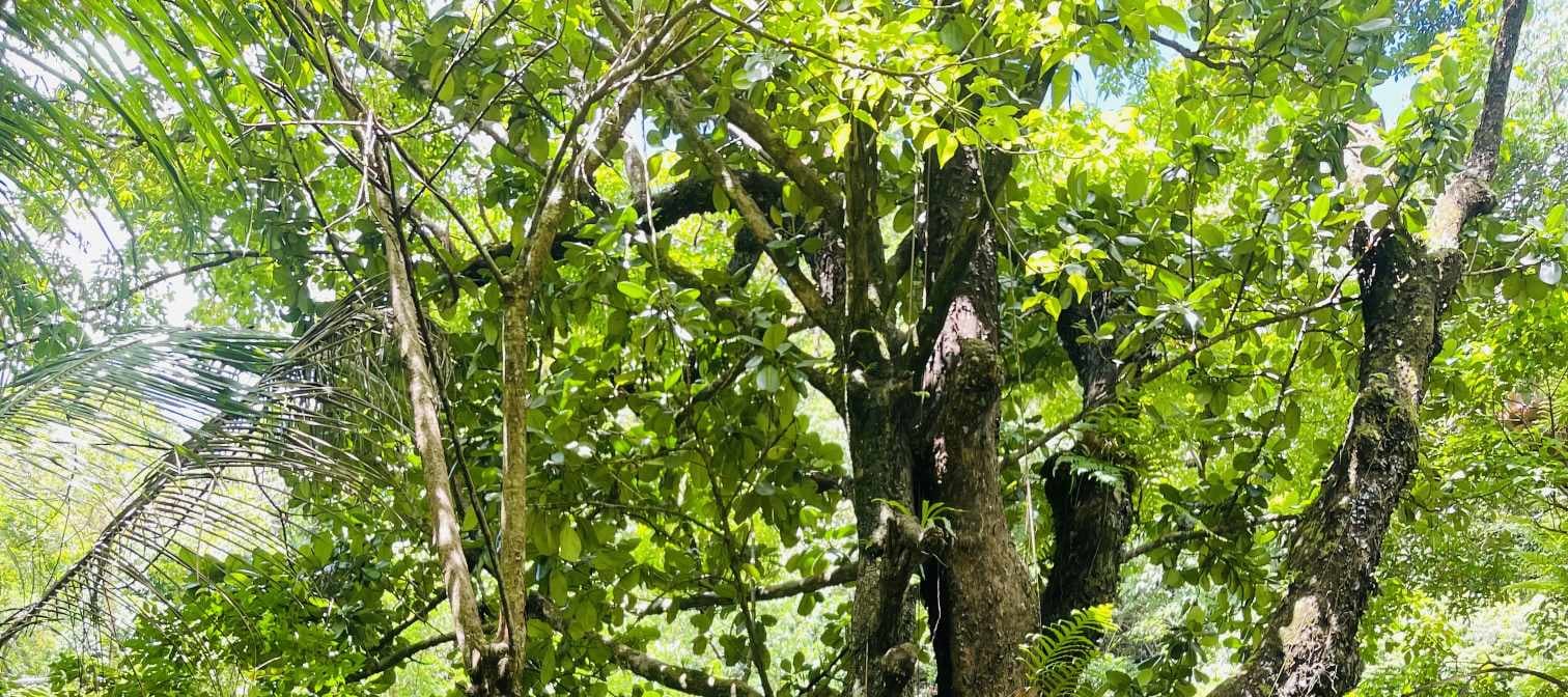 Malumpati Cold Spring Day Tour