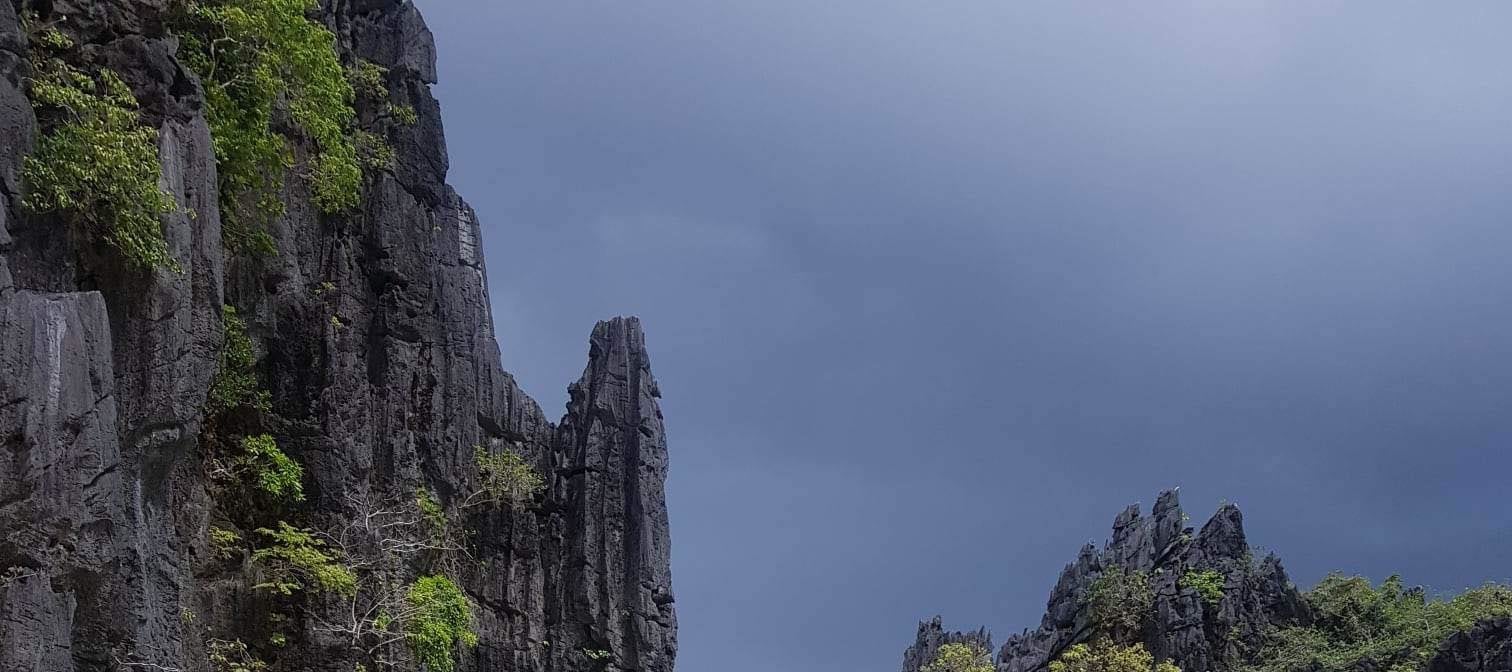 愛妮島C線之旅