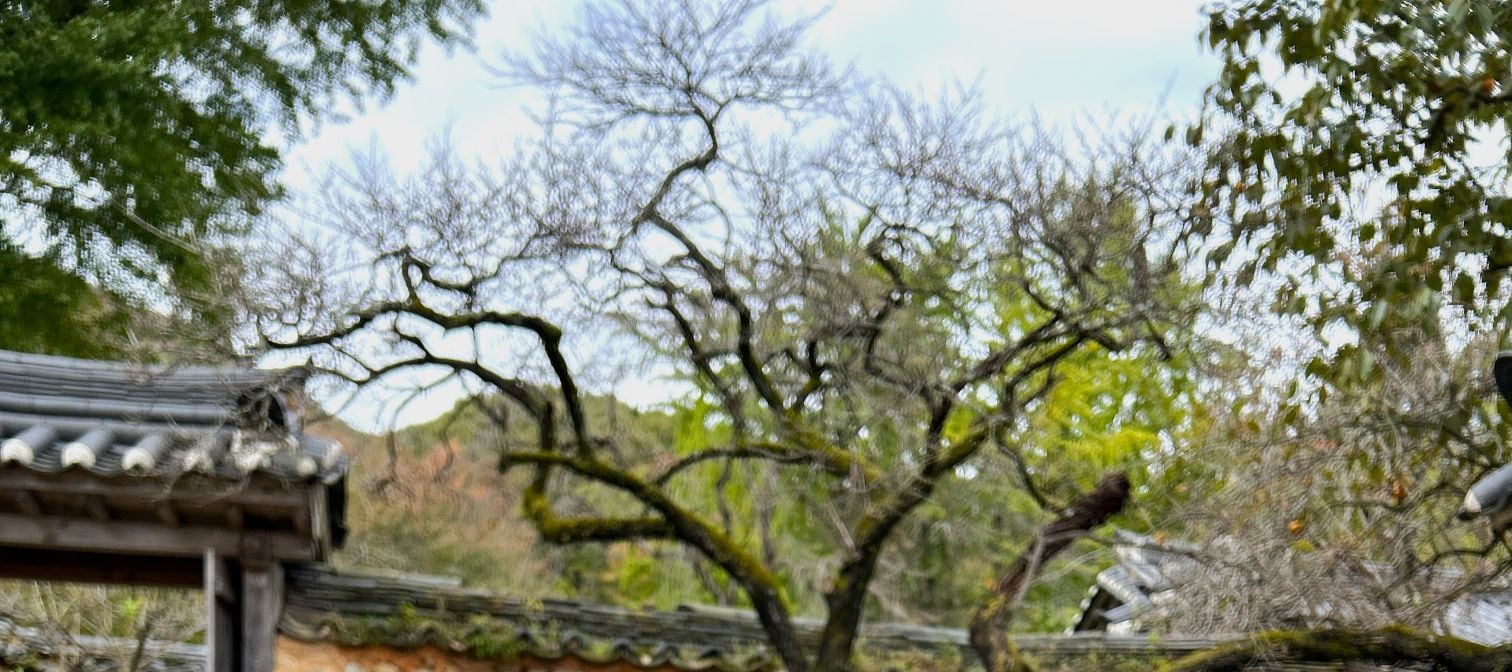 順天仙巖寺 (UNESCO)