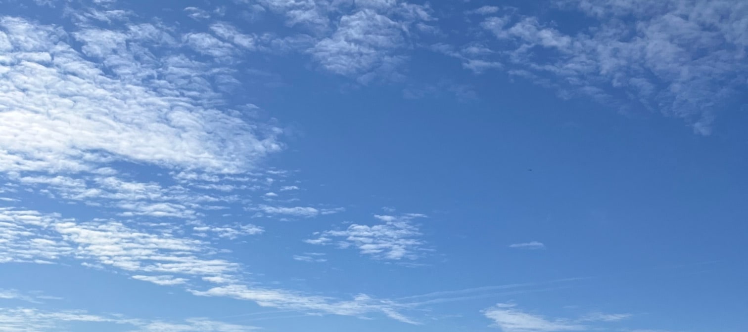 從卑爾根出發的峽灣海上探險之旅，包含釣魚和捕撈螃蟹
