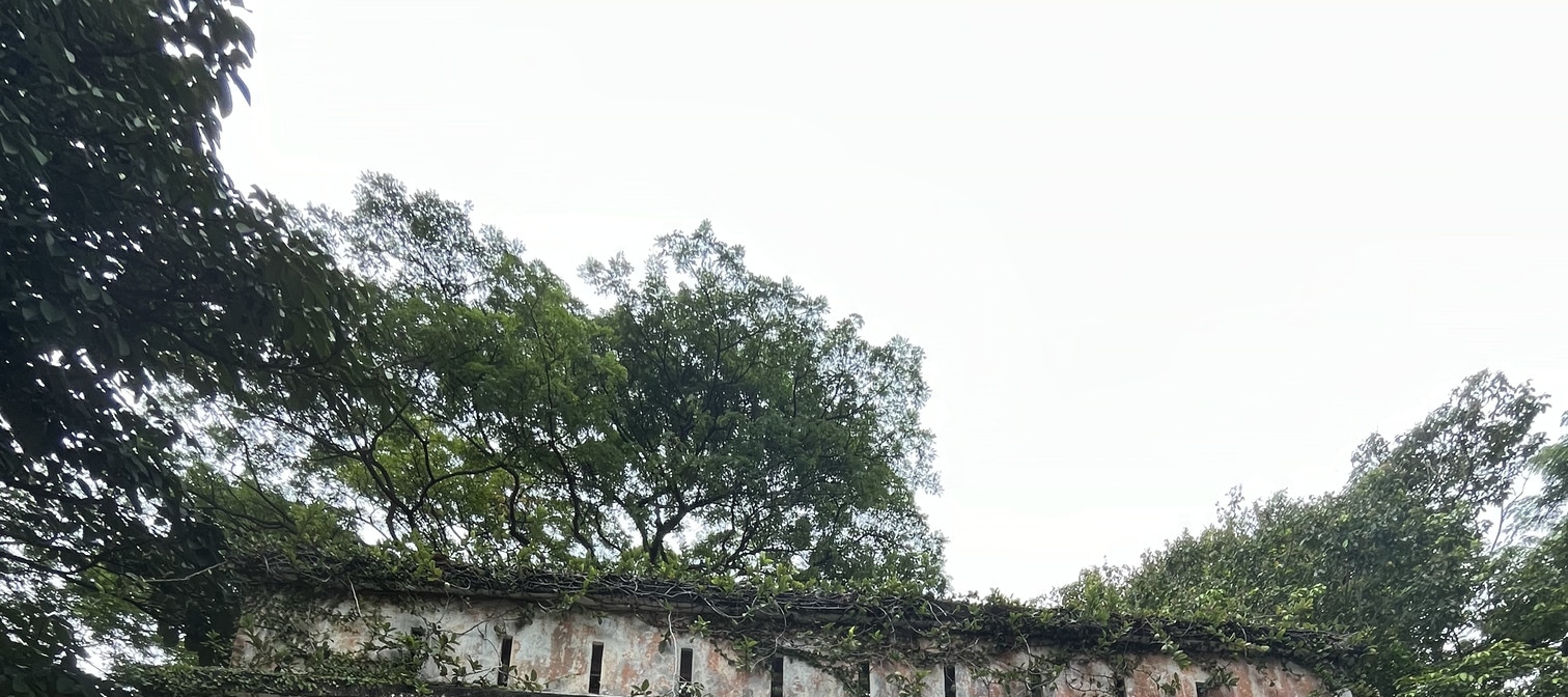 Fort Canning: Where History Meets Nature - Thumbnail 5