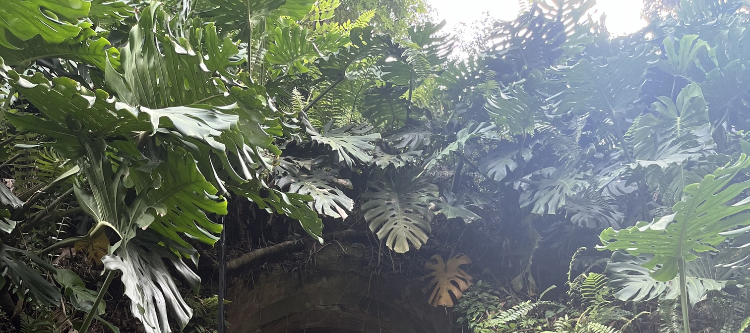 Fort Canning: Where History Meets Nature - Thumbnail 8