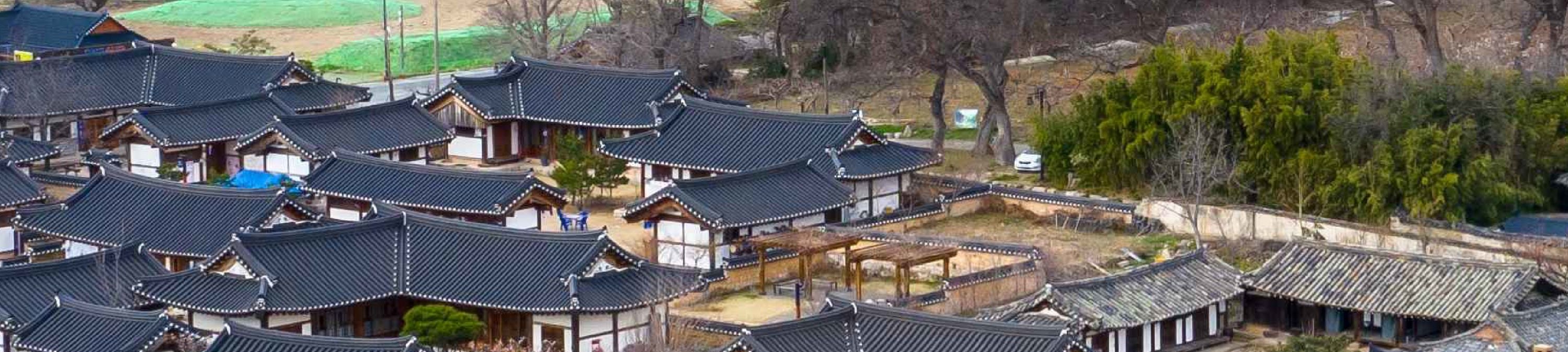 釜山 & 慶州一日遊（釜山出發）