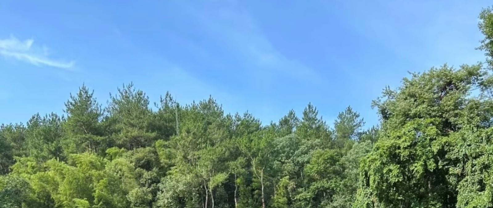 毛澤東同志故居，自由參觀，感受他的童年與成長環境，和偉人一起回憶那些美好的時光！故居內陳設簡樸，展現毛澤東簡樸生活，讓人敬佩其偉大精神~（為了不打擾這份寧靜與尊重，導遊將止步於門外，敬請諒解~）