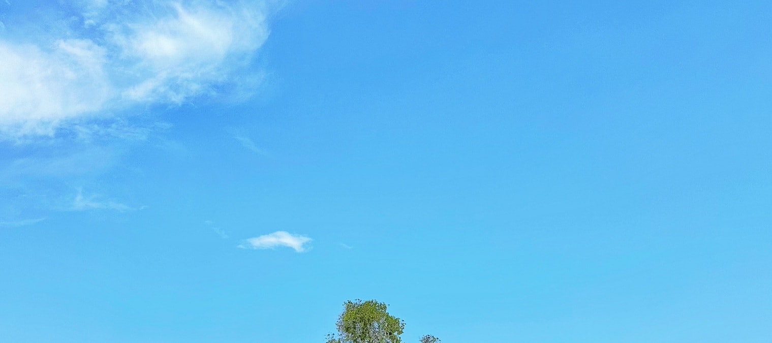 民丹島紅樹林 / 拉戈伊野生動物園 / 沙丘 & 藍湖 / 浮潛一日遊