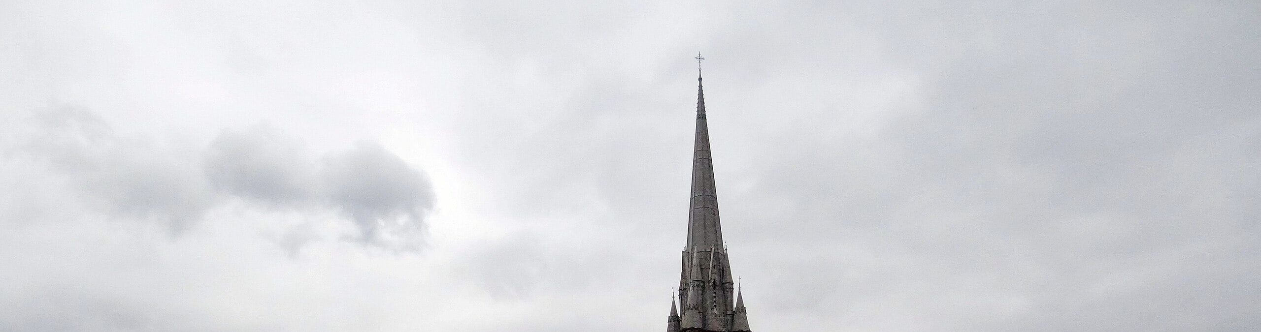 Cobh(Cork): Blarney Castle, Kinsale & Cork City Shore Tour
