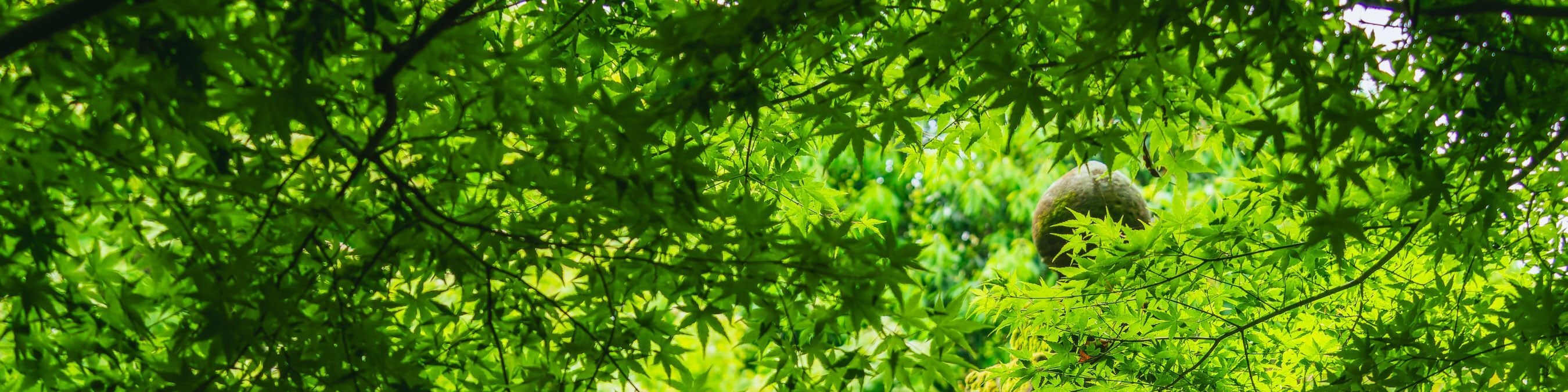 佐賀: 祐德稻荷神社&小城公園&鳥栖奧特萊斯 1日遊(博多出發)