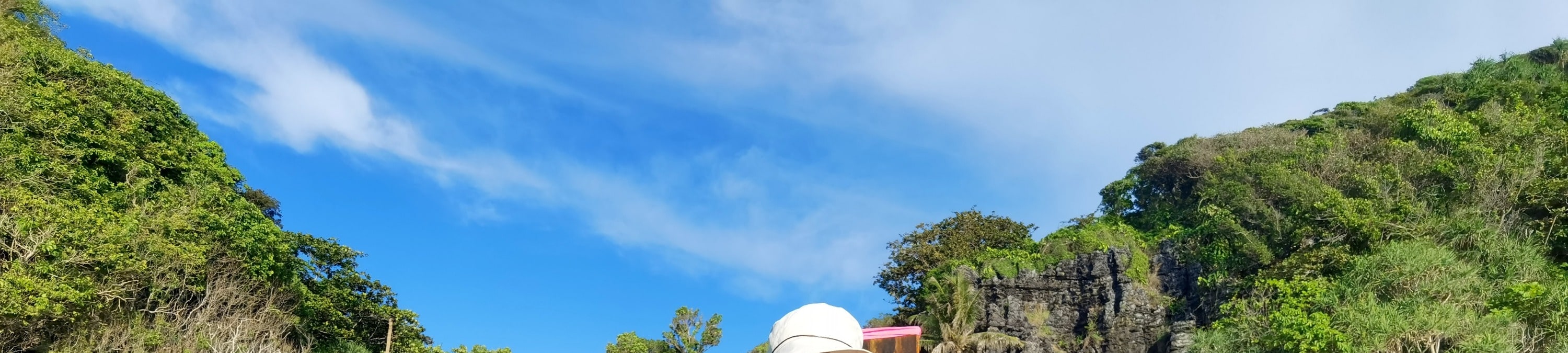 皮皮島與瑪雅灣一日長尾船自助導覽之旅