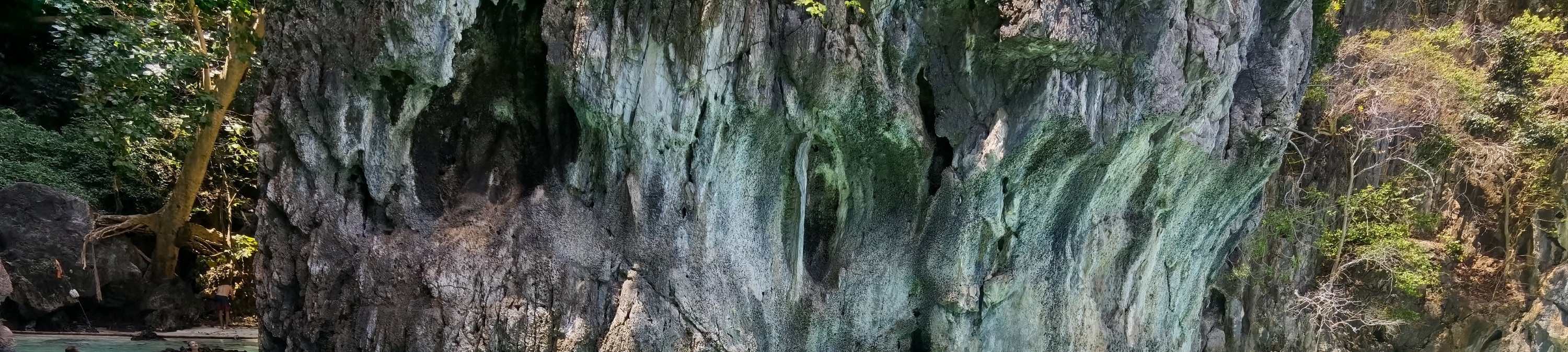 皮皮島私人長尾船一日遊（萊利出發）
