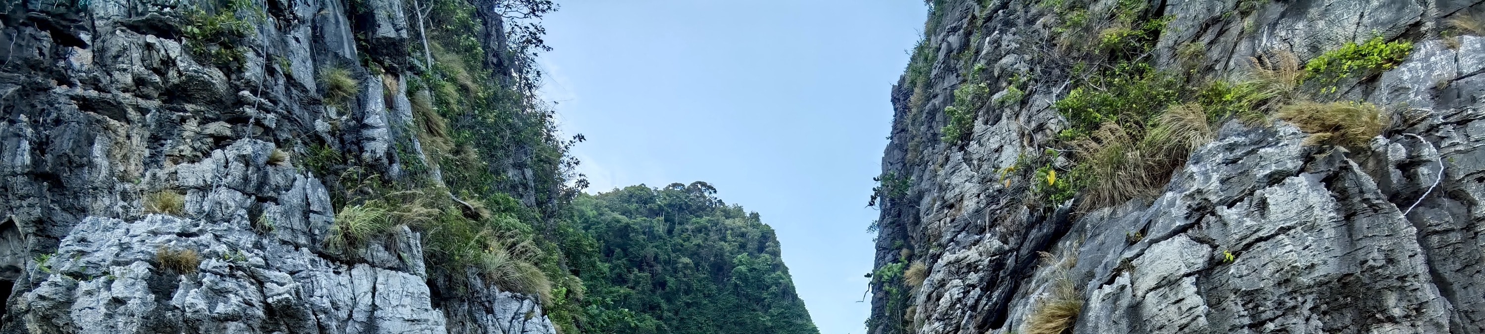 皮皮島私人長尾船一日遊（萊利出發）