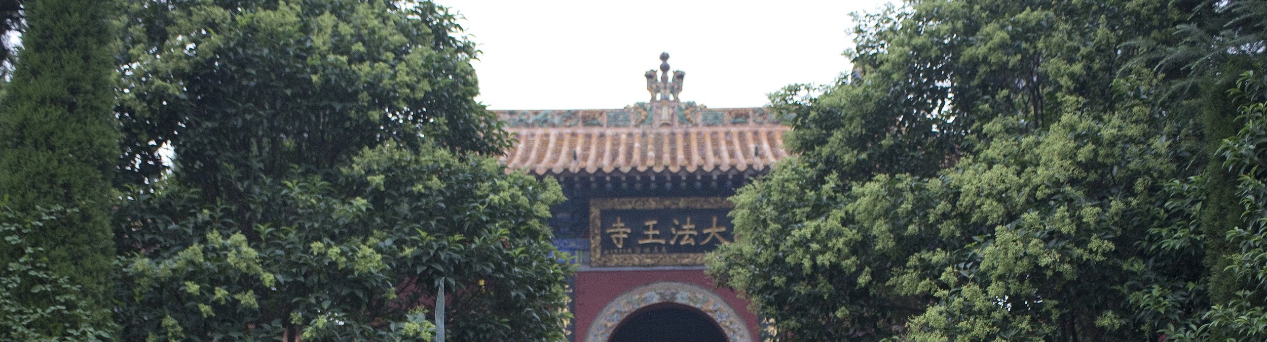 少林武術：禪武合一，國家非遺，1500年曆史武術流派。