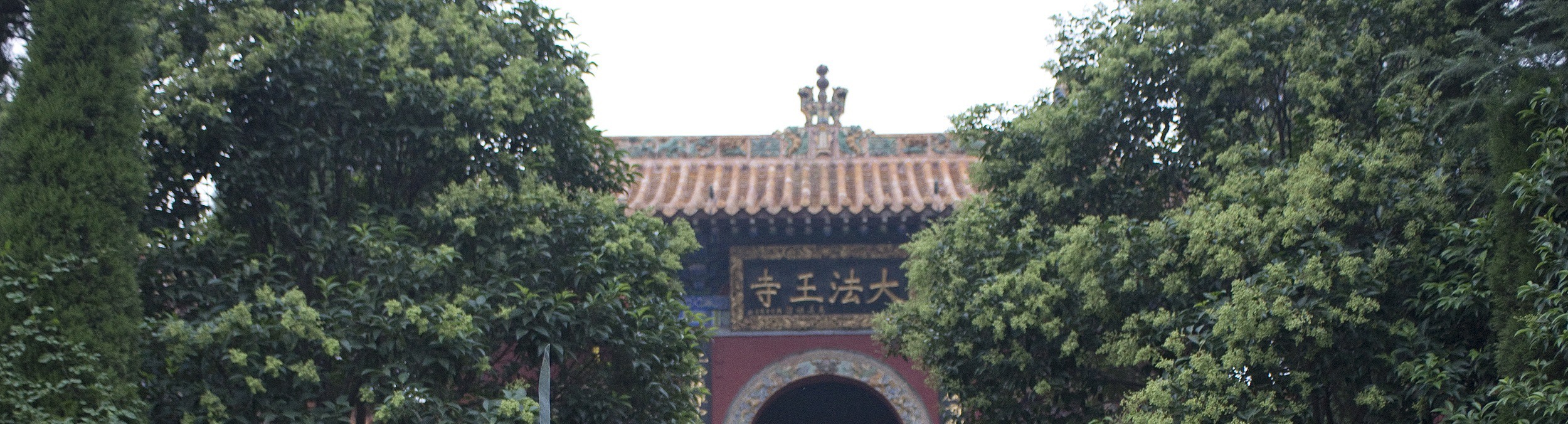 少林武術：禪武合一，國家非遺，1500年曆史武術流派。