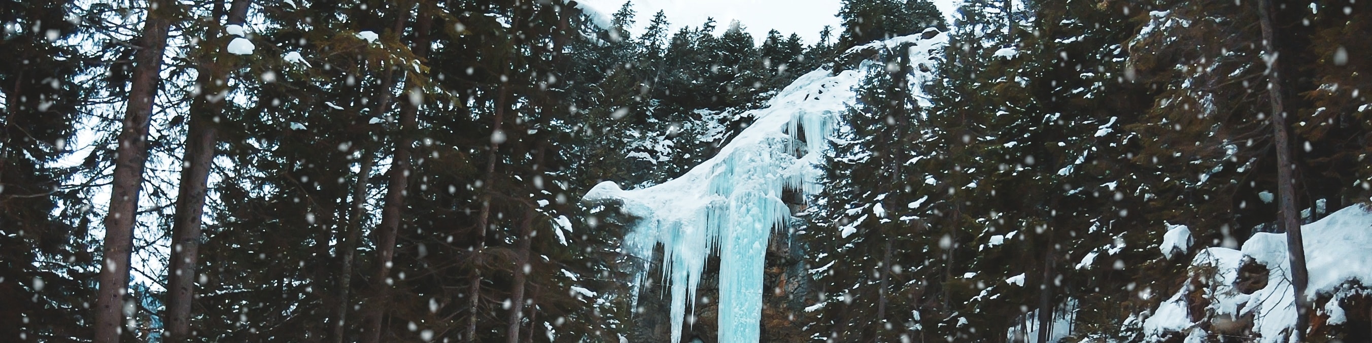 Winter Alpine Adventure from Interlaken