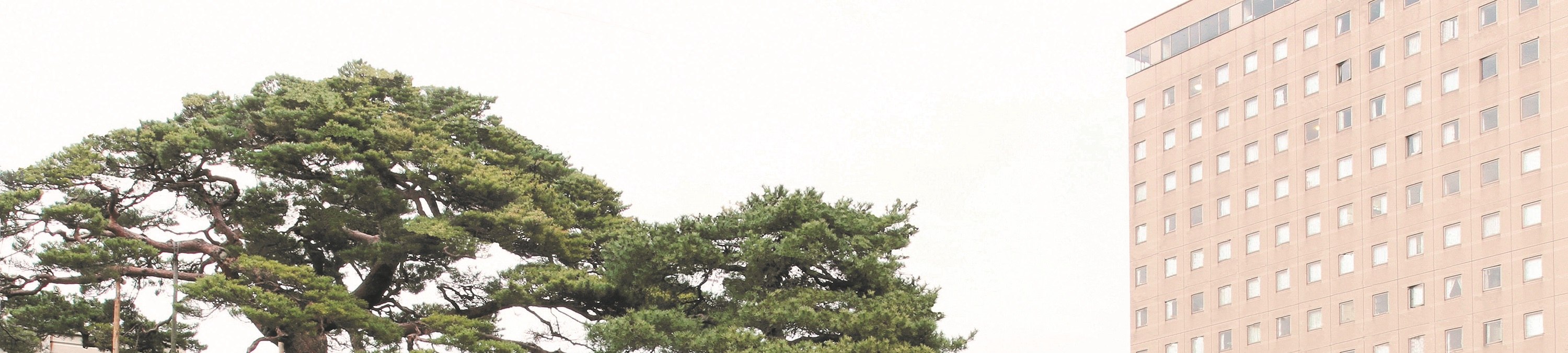 金澤兼六園＆東茶屋街一日遊（含手鞠壽司製作體驗）