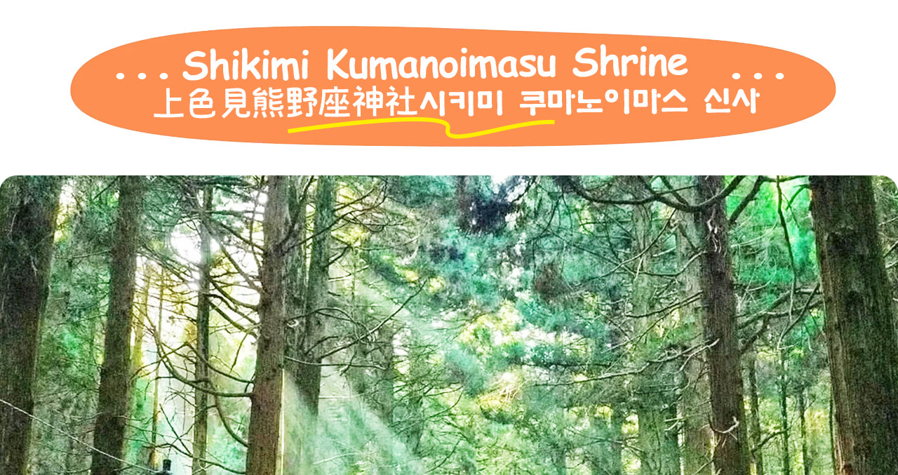 色見熊野座神社靜謐隱匿於蒼翠杉林中,是祈福與感受古老神道文化的絕佳聖地🌲 色見熊野座神社靜謐隱匿於蒼翠杉林中,是祈福與感受古老神道文化的絕佳聖地🌲