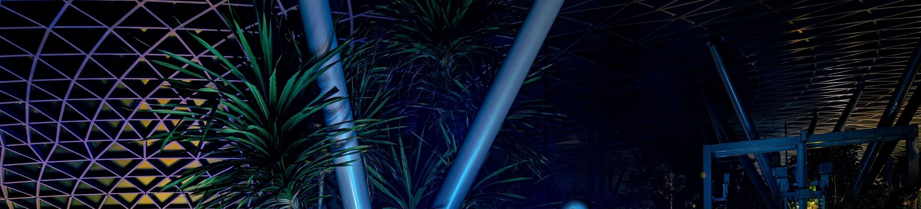 在5樓星空花園探索奇妙的拍照裝置，這些裝置的靈感來源於飛船的主題區域，並以您最喜愛的玩具總動員朋友為特色。