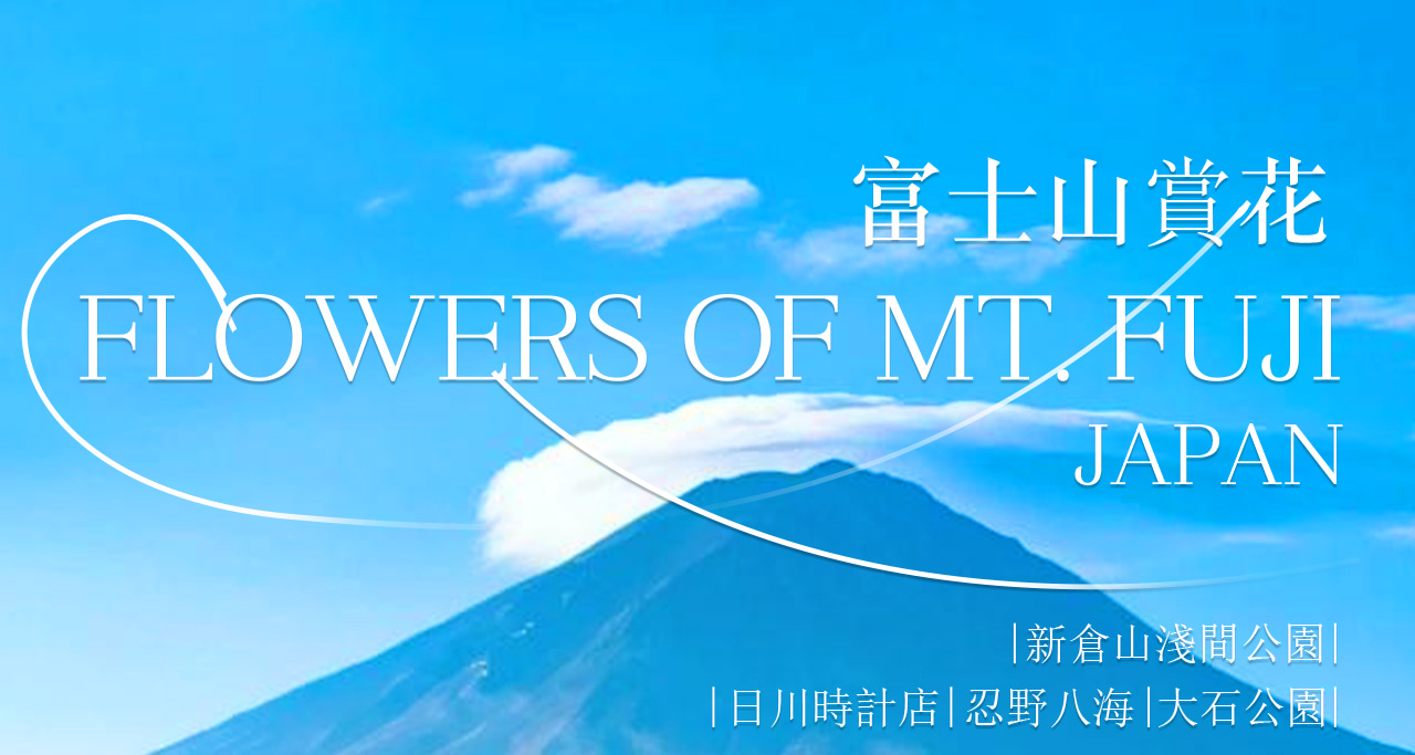 富士山浪漫一日遊｜邂逅四季的夢幻景緻與打卡聖地