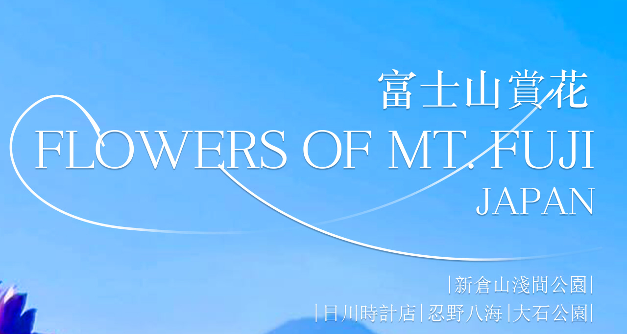 富士山浪漫一日遊|邂逅四季的夢幻景緻與打卡聖地 富士山浪漫一日遊|邂逅四季的夢幻景緻與打卡聖地