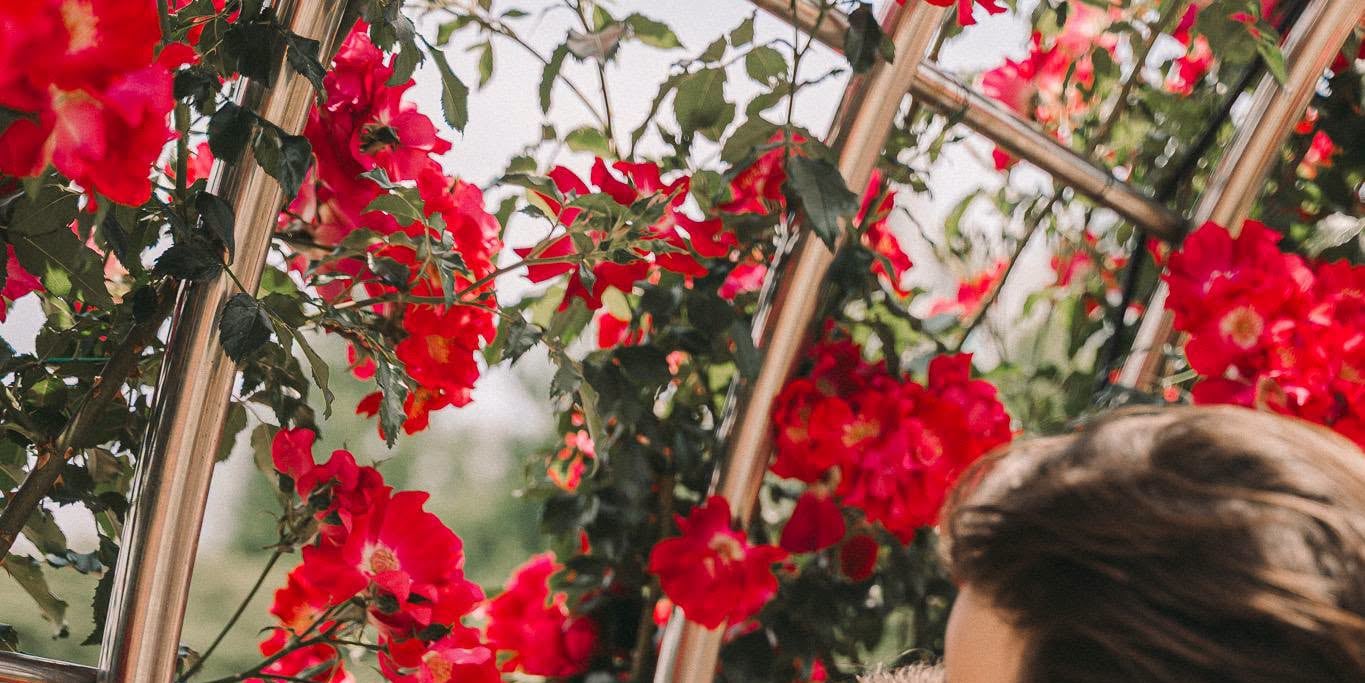 Surprise Proposal Photography & Planning - Thumbnail 101