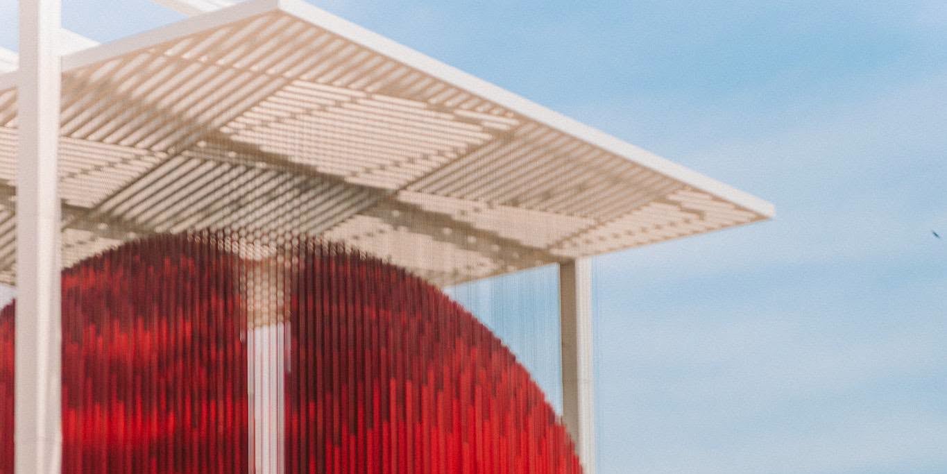 Surprise Proposal Photography & Planning - Thumbnail 104