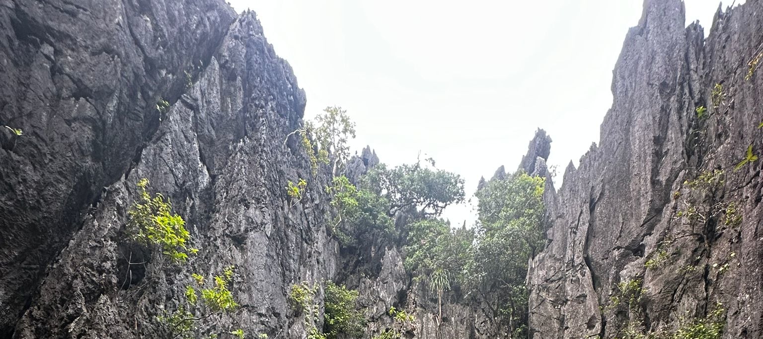 在愛妮島清澈見底的海水中漂浮，四周環繞著高聳的石灰岩懸崖和茂盛的綠色植物，享受寧靜的時刻。