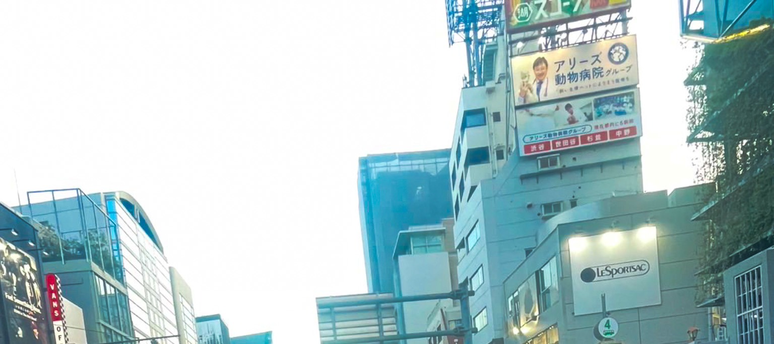Monster Kart: Through Shibuya to Harajuku in an Original Kart!