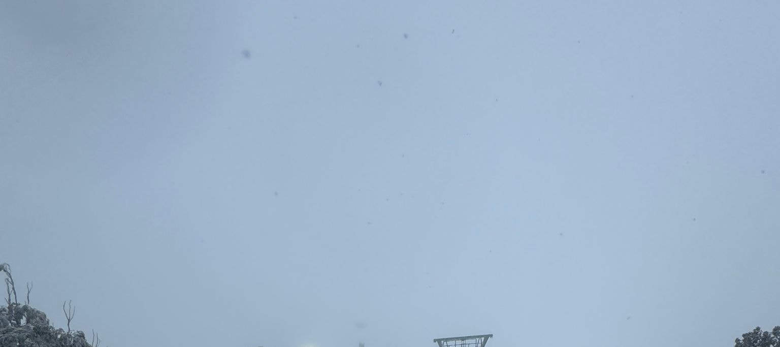 Private Mount Buller Snow & Ski Tour in Melbourne