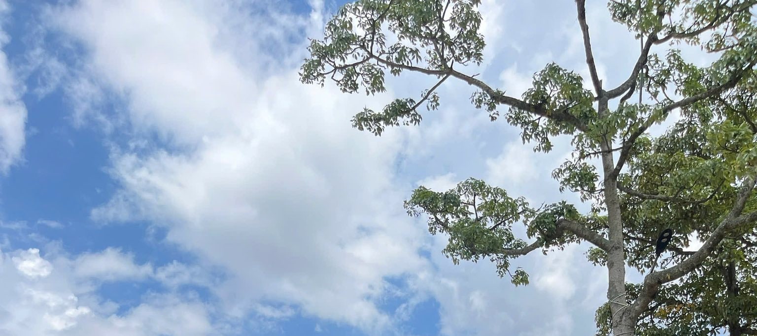 俱樂部會所和著陸區周圍的風景