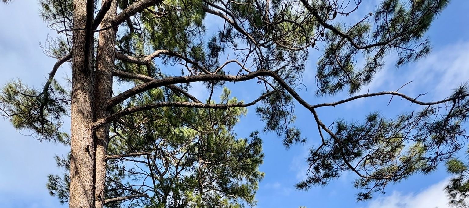 素帖山普伊國家公園探險健行