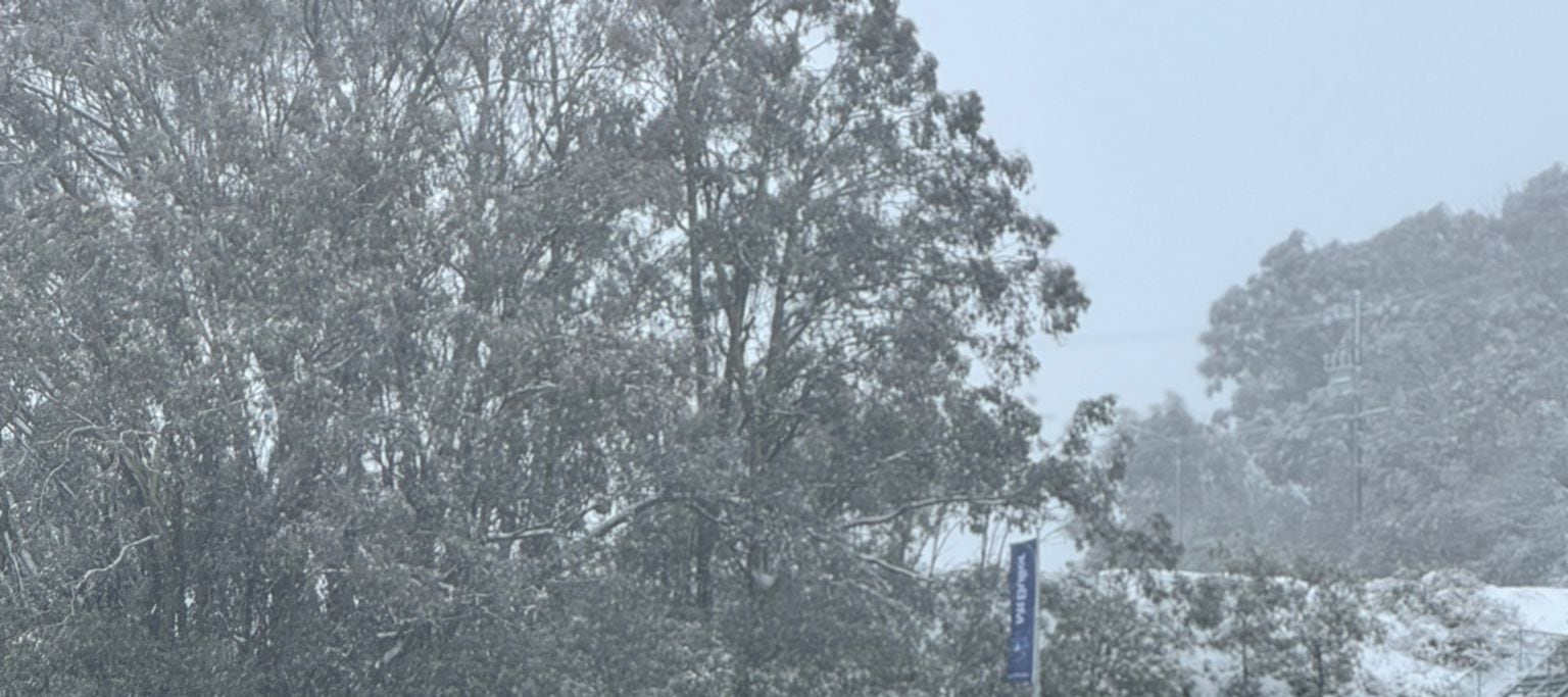 Private Mount Buller Snow & Ski Tour in Melbourne