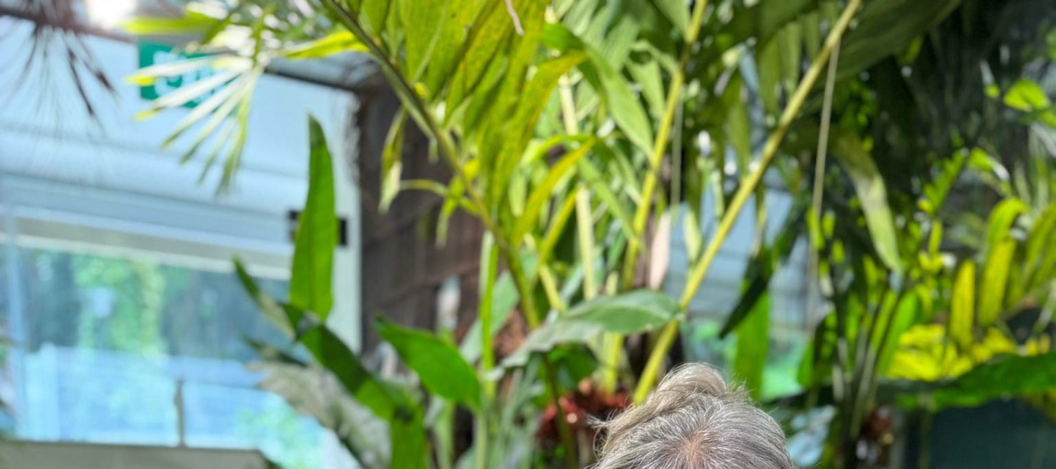 Bring your own mead home!