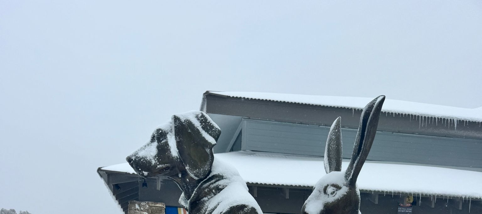 Private Mount Buller Snow & Ski Tour in Melbourne