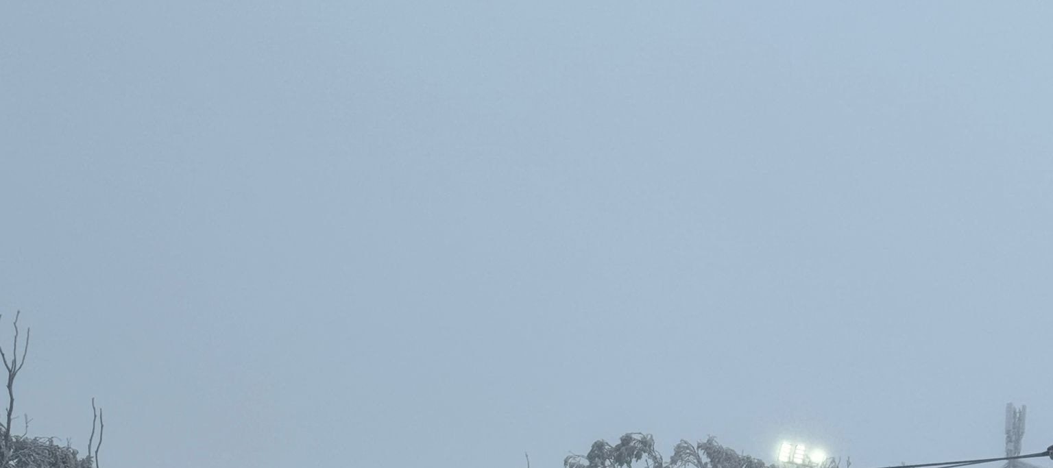 Private Mount Buller Snow & Ski Tour in Melbourne