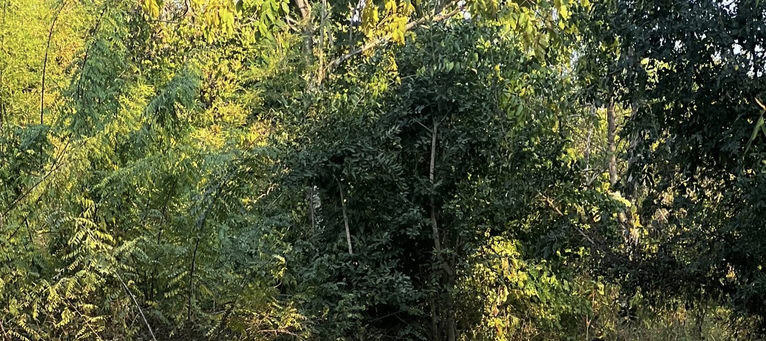 北碧府的自然風光 北碧府的自然風光