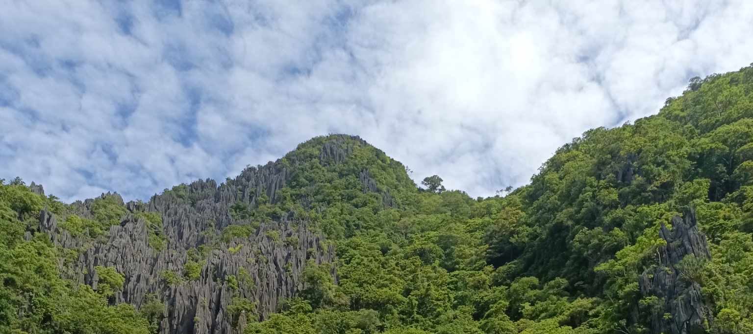 愛妮島A,B,C,D路線之旅（含環境費和瀉湖費）