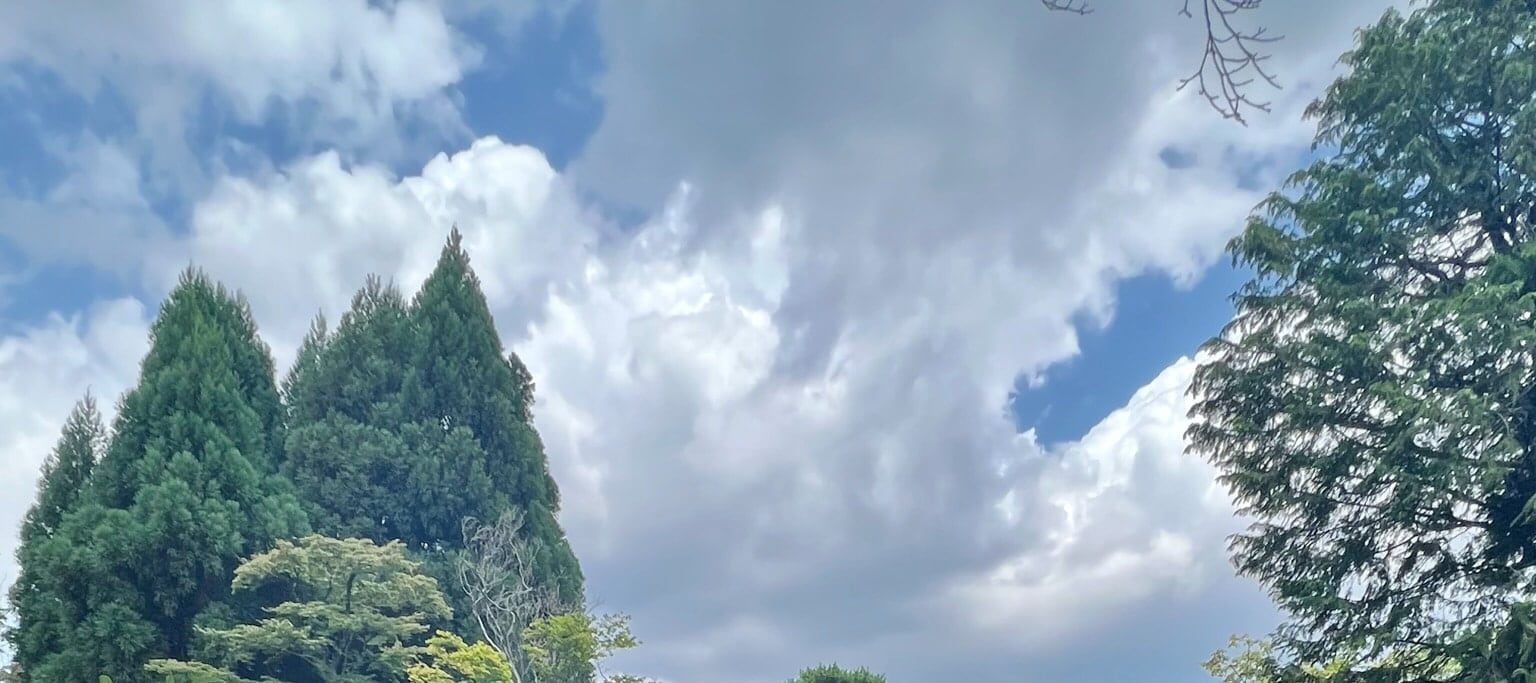 京都日式花園茶道體驗