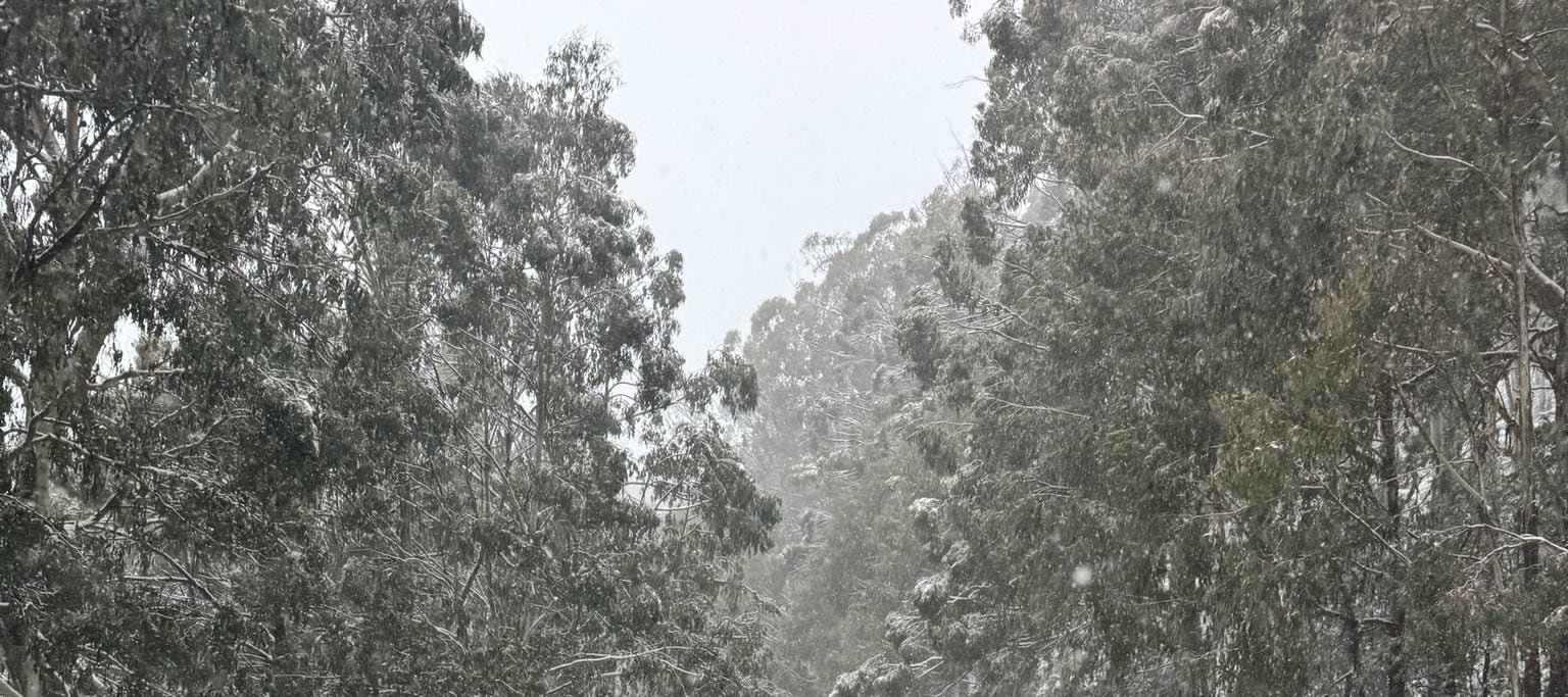 Private Mount Buller Snow & Ski Tour in Melbourne