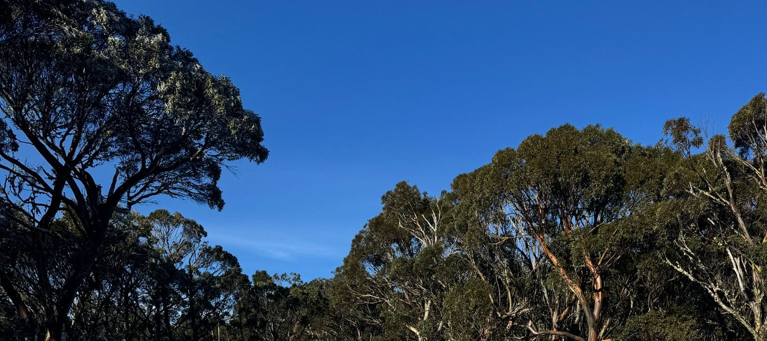 Private Mount Buller Snow & Ski Tour in Melbourne