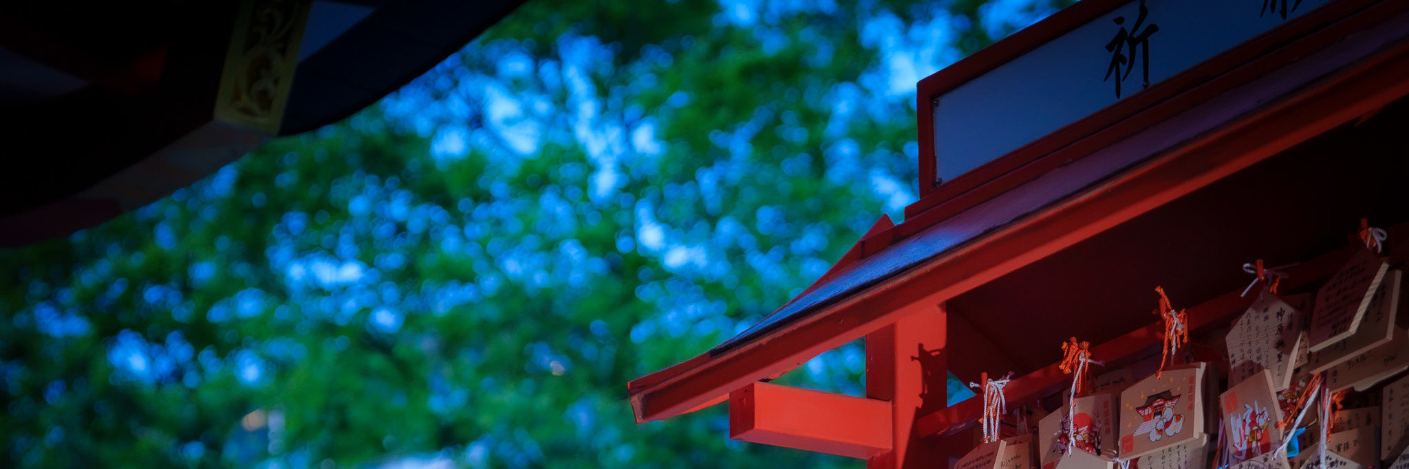 Tokyo by Night City Exploration Photography Tour - Thumbnail 10
