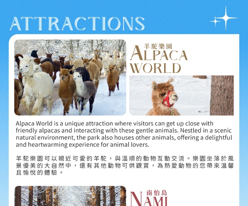 Eobi Ice Valley & Alpaca & Strawberry & Nami & Lighting Festival