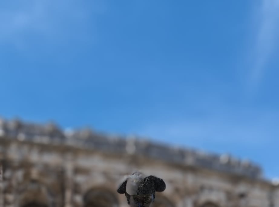  Private tour Nimes, Orange, Pont du Gard