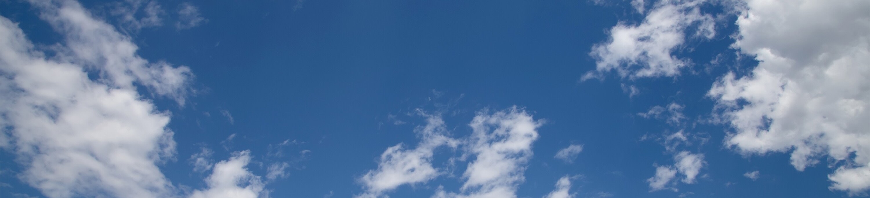 Citadel
