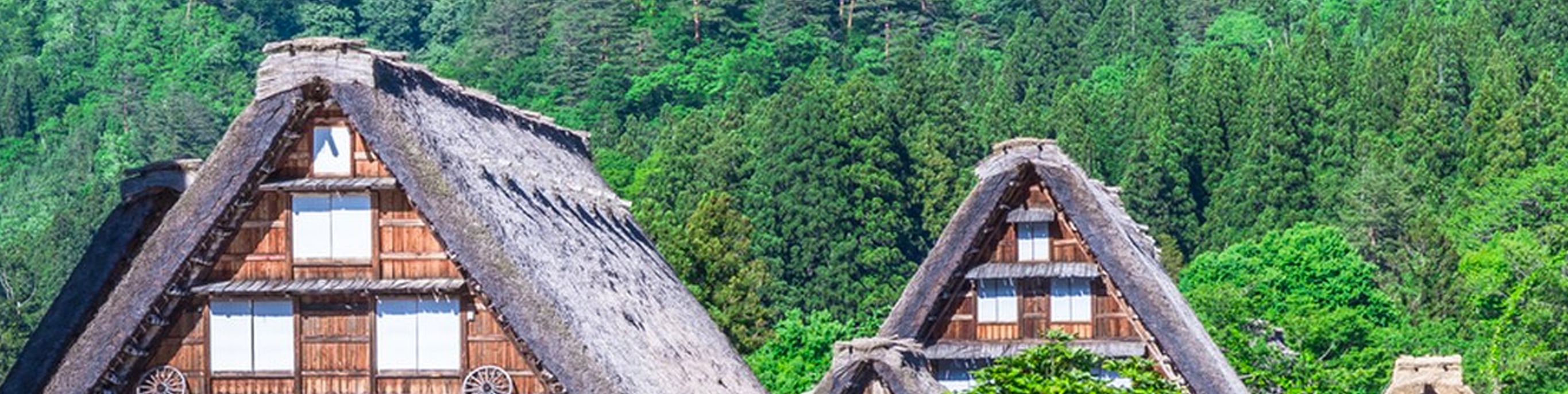 🏡 白川鄉合掌村・四季
春櫻新綠、夏木蒼翠，秋染楓紅，冬雪覆頂。四季流轉間，古樸木屋藏盡山野詩意，宛若人間童話。
