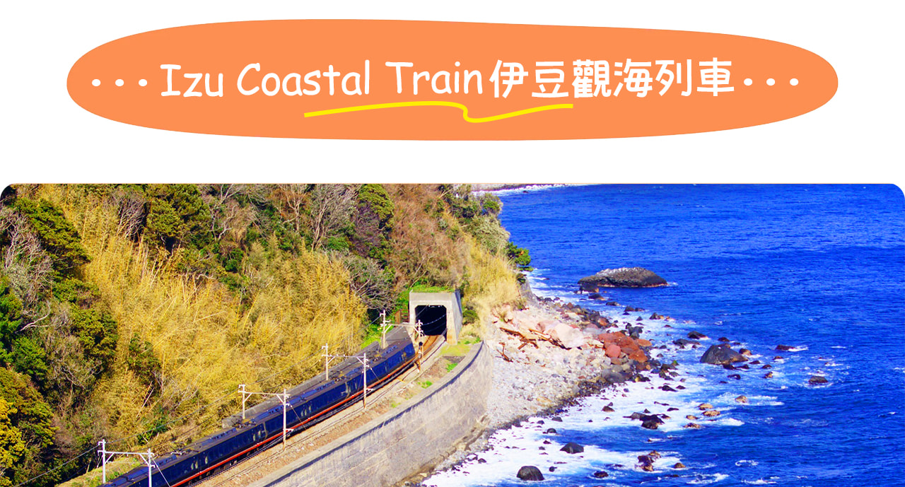 伊豆觀海列車是一列沿海行駛的浪漫列車，車窗外盡是壯麗太平洋海景，被譽為最療愈的海岸列車之一