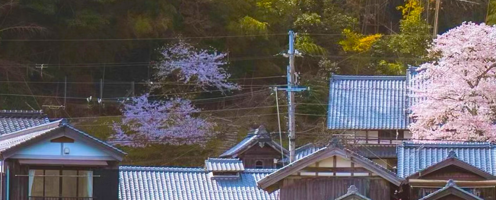京都天橋立&伊根舟屋&京都合掌村美山茅屋一日遊 (大阪出發)