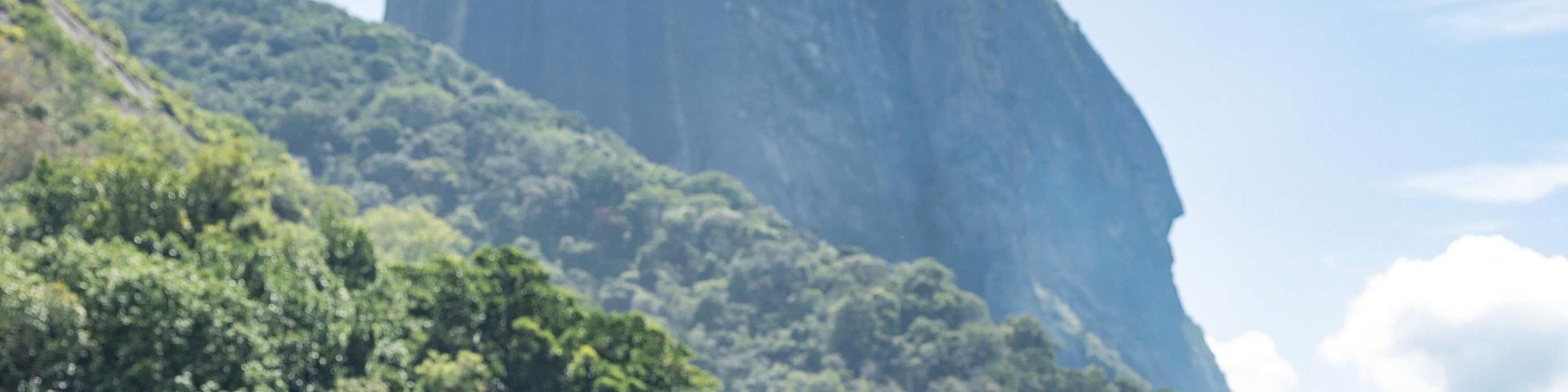 Turn unforgettable Rio moments into professional keepsakes with a local photographer