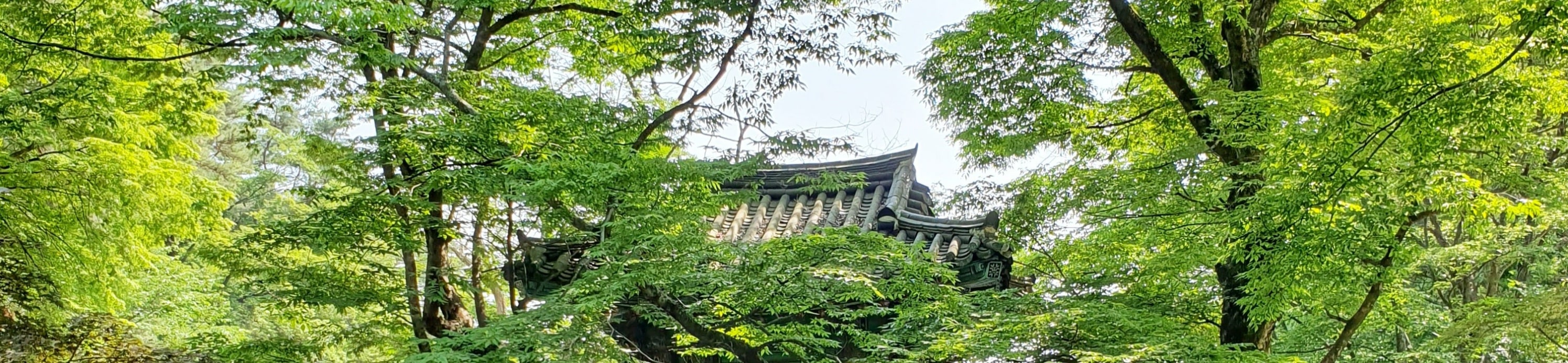 天恩寺「水紅樓」