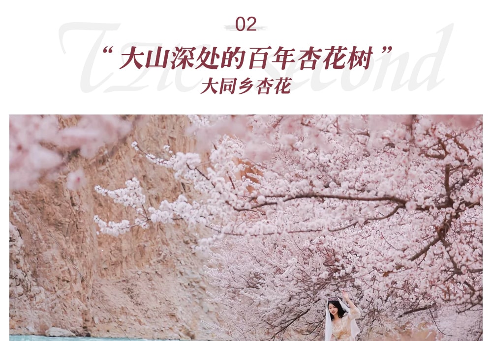 新疆南疆杏花私家7日（不周山野奢營地+日照金山+白沙湖觀景愛帕民宿+塔爾鄉杏花村+木吉冰火幻境+盤龍古道+慕士塔格4號冰川+雪柳樹洞）
