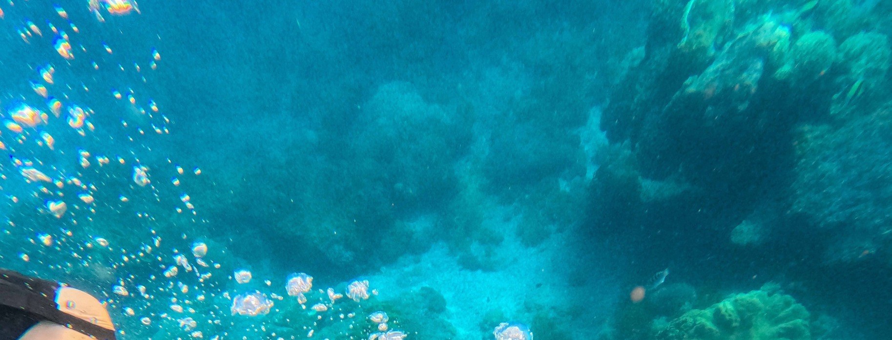 倫邦岸島（Nusa Lembongan）一日遊艇體驗